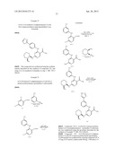 INHIBITORS OF SYK AND JAK PROTEIN KINASES diagram and image