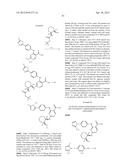 INHIBITORS OF SYK AND JAK PROTEIN KINASES diagram and image