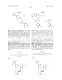 INHIBITORS OF SYK AND JAK PROTEIN KINASES diagram and image