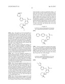 INHIBITORS OF SYK AND JAK PROTEIN KINASES diagram and image