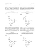 INHIBITORS OF SYK AND JAK PROTEIN KINASES diagram and image