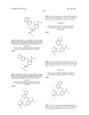 INHIBITORS OF SYK AND JAK PROTEIN KINASES diagram and image