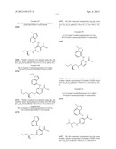 INHIBITORS OF SYK AND JAK PROTEIN KINASES diagram and image