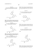 INHIBITORS OF SYK AND JAK PROTEIN KINASES diagram and image