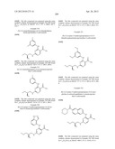 INHIBITORS OF SYK AND JAK PROTEIN KINASES diagram and image