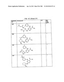 INHIBITORS OF SYK AND JAK PROTEIN KINASES diagram and image