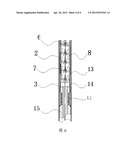 DELIVERY SYSTEM FOR BRANCHED STENT GRAFT diagram and image