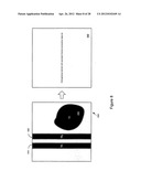 METHOD AND APPARATUS FOR THERMAL ANALYSIS diagram and image