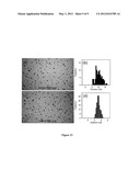 Greener Synthesis of Nanoparticles Using Fine Tuned Hydrothermal Routes diagram and image