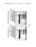 HIGH-SENSITIVITY PROTEOLYSIS ASSAY diagram and image