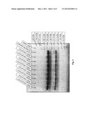 HIGH-SENSITIVITY PROTEOLYSIS ASSAY diagram and image