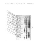 HIGH-SENSITIVITY PROTEOLYSIS ASSAY diagram and image