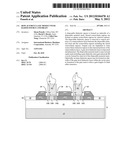 REPLACEMENT GATE MOSFET WITH RAISED SOURCE AND DRAIN diagram and image