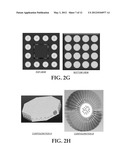 HIGH PERFORMANCE LED GROW LIGHT diagram and image