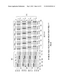 PERMUTABLE SWITCHING NETWORK WITH ENHANCED INTERCONNECTIVITY FOR     MULTICASTING SIGNALS diagram and image