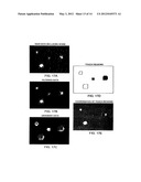 MULTIPOINT TOUCHSCREEN diagram and image