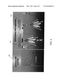 MULTI FREQUENCY 2D PHASED ARRAY TRANSDUCER diagram and image