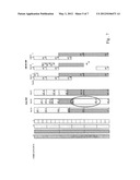 Demodulation Reference Signals in a Communication System diagram and image