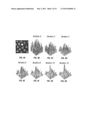 COMPUTATION OF INTRINSIC PERCEPTUAL SALIENCY IN VISUAL ENVIRONMENTS, AND     APPLICATIONS diagram and image