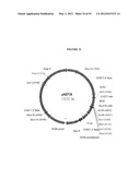 Cytotoxicity Mediation of Cells Evidencing Surface Expression of CD44 diagram and image