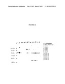 Cytotoxicity Mediation of Cells Evidencing Surface Expression of CD44 diagram and image