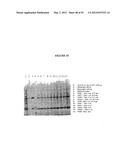 Cytotoxicity Mediation of Cells Evidencing Surface Expression of CD44 diagram and image