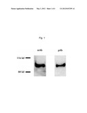 Methods and Compositions for Detecting Pancreatic Disease diagram and image