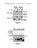 Method for therapeutic angiogenesis diagram and image