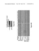 Method for therapeutic angiogenesis diagram and image