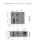 Method for therapeutic angiogenesis diagram and image