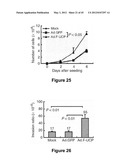 Method for therapeutic angiogenesis diagram and image