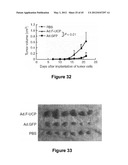 Method for therapeutic angiogenesis diagram and image