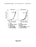 Method for therapeutic angiogenesis diagram and image