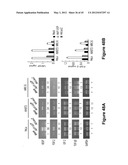 Method for therapeutic angiogenesis diagram and image