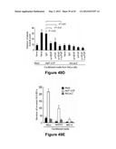 Method for therapeutic angiogenesis diagram and image