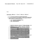 IMMUNOGENIC AND THERAPEUTIC COMPOSITIONS FOR STREPTOCOCCUS PYOGENES diagram and image