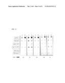 IMMUNOGENIC AND THERAPEUTIC COMPOSITIONS FOR STREPTOCOCCUS PYOGENES diagram and image