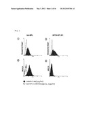 ANTIBODY HAVING ANTI-CANCER ACTIVITY diagram and image