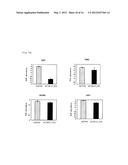 ANTIBODY HAVING ANTI-CANCER ACTIVITY diagram and image