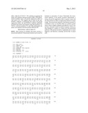 ANTIBODY HAVING ANTI-CANCER ACTIVITY diagram and image