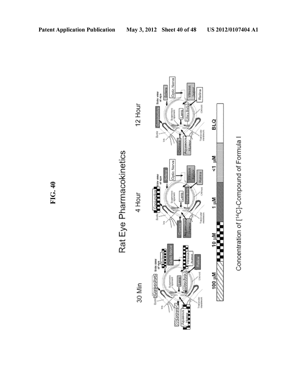 Crystalline Pharmaceutical and Methods of Preparation and Use Thereof - diagram, schematic, and image 41