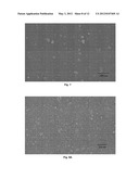 METHOD FOR THE DRY DISPERSION OF NANOPARTICLES AND THE PRODUCTION OF     HIERARCHICAL STRUCTURES AND COATINGS diagram and image