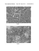 METHOD FOR THE DRY DISPERSION OF NANOPARTICLES AND THE PRODUCTION OF     HIERARCHICAL STRUCTURES AND COATINGS diagram and image