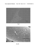 METHOD FOR THE DRY DISPERSION OF NANOPARTICLES AND THE PRODUCTION OF     HIERARCHICAL STRUCTURES AND COATINGS diagram and image