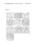 COMPOSITION FOR PROMOTING ADIPOCYTE DIFFERENTIATION CONTAINING AN EXTRACT     OF REHMANNIA GLUTINOSA, LICORICE, COICIS SEMEN, HORDEI FRUCTUS,     CHAENOMELIS FRUCTUS, ACANTHOPANACIS CORTEX OR PUERARIAE RADIX diagram and image