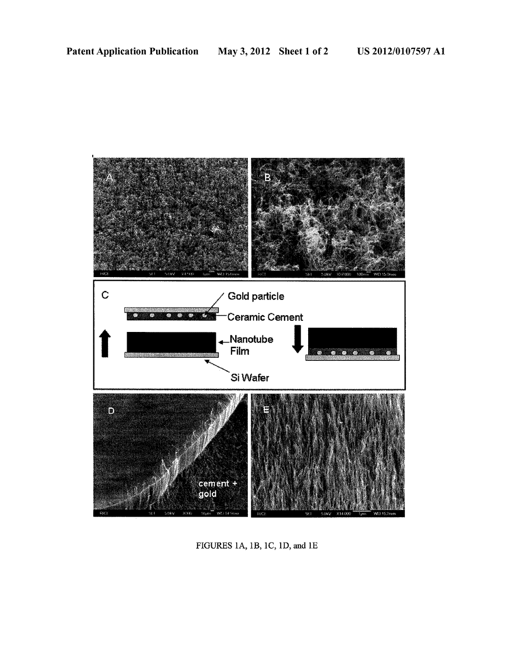 EMBEDDED ARRAYS OF VERTICALLY ALIGNED CARBON NANOTUBE CARPETS AND METHODS     FOR MAKING THEM - diagram, schematic, and image 02