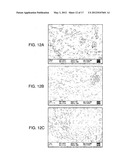 SYSTEMS AND METHODS OF TEMPLATING USING PARTICLES SUCH AS COLLOIDAL     PARTICLES diagram and image