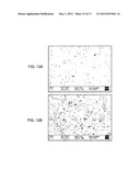 SYSTEMS AND METHODS OF TEMPLATING USING PARTICLES SUCH AS COLLOIDAL     PARTICLES diagram and image