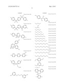 Solid Polymer Electrolyte Composition, and Ion-Exchange Membrane, Membrane     Electrode Assembly and Fuel Cell diagram and image