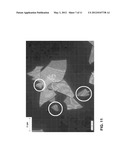 TAGGENT FLAKES FOR COVERT SECURITY APPLICATIONS HAVING A SELECTED SHAPE diagram and image